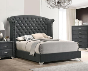 Melody Upholstered Queen Wingback Bed - Grey