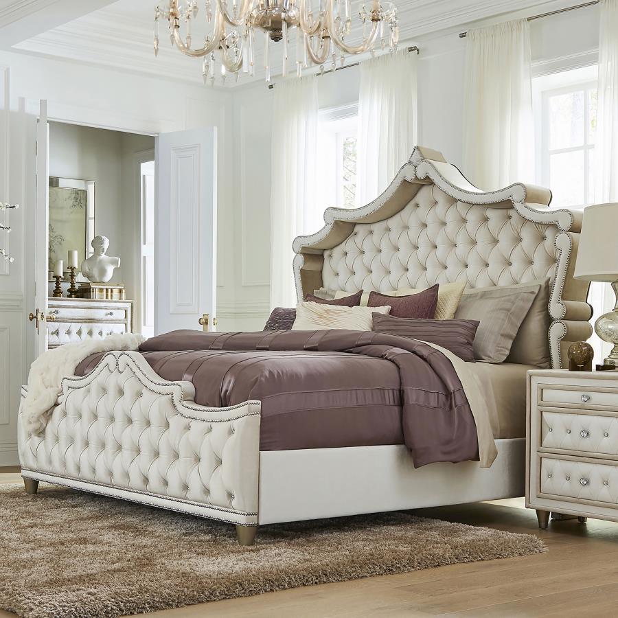 Antonella Upholstered Queen Panel Bed - Ivory and Camel