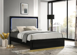 Caraway Wood Queen LED Panel Bed - Black