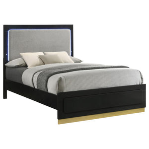 Caraway Wood Queen LED Panel Bed - Black